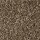 Phenix Carpets: Daybreak MO Neutron